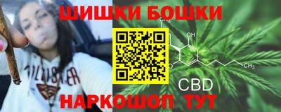 мдпв Лесосибирск