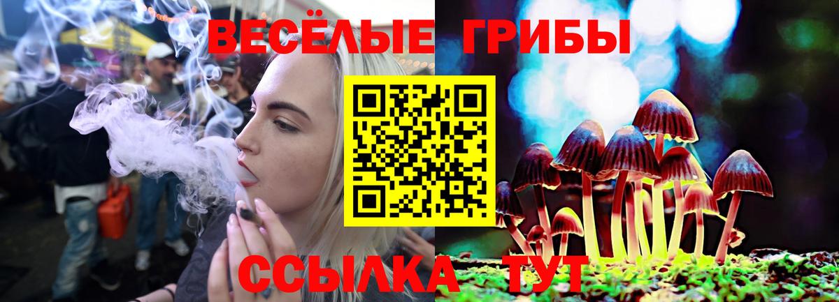 где купить наркоту  Вход с VPN  Заводоуковск  Псилоцибиновые грибы мицелий  Галлюциногенные грибы мицелий 